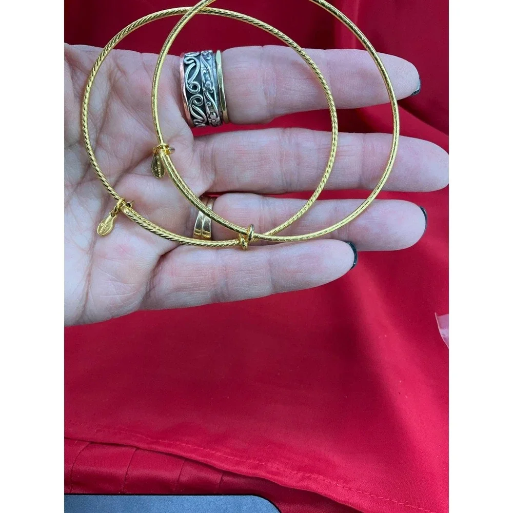 Alex and Ani Bangle Bracelet‎ Lot 6pc Nautical Lobster Fish Anchor Gold Silver